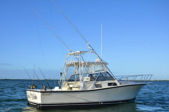 Fishing Charter 31ft in Cancún, Quintana Roo