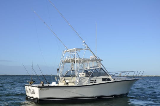 Charter de pêche de 31 pieds à Cancún, Quintana Roo