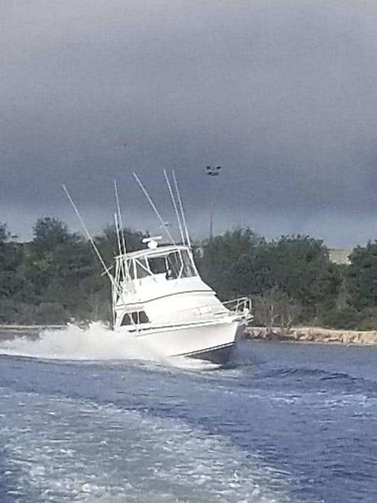 Le rêve d'un pêcheur : Dawson Sportfish de 38 pieds à Norfolk, en Virginie ! 