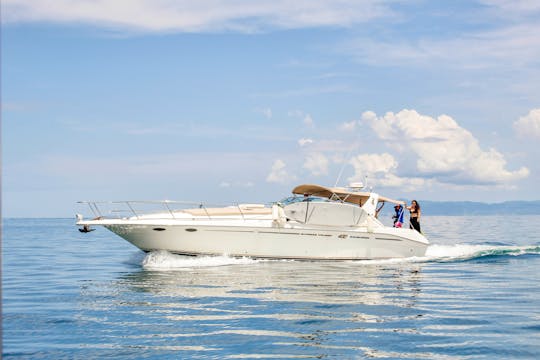 Exclusive Sea Ray Express Cruiser Yacht