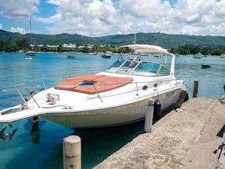 Profitez d'une croisière sur le littoral de Montego Bay à bord d'un yacht SeaRay de 30 pieds avec un punch au rhum à volonté