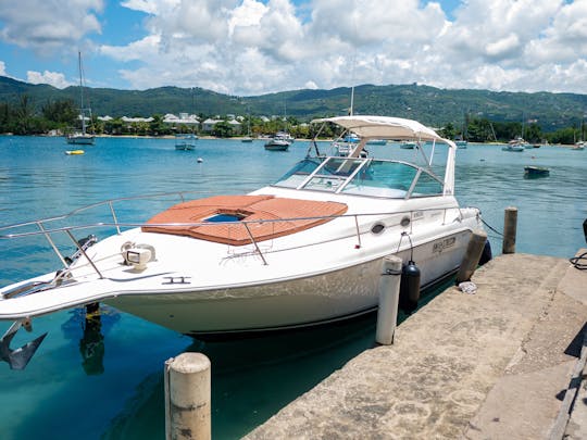 Enjoy cruising Montego Bay Coastline on a 30' SeaRay Yacht w/unlimited Rum Punch