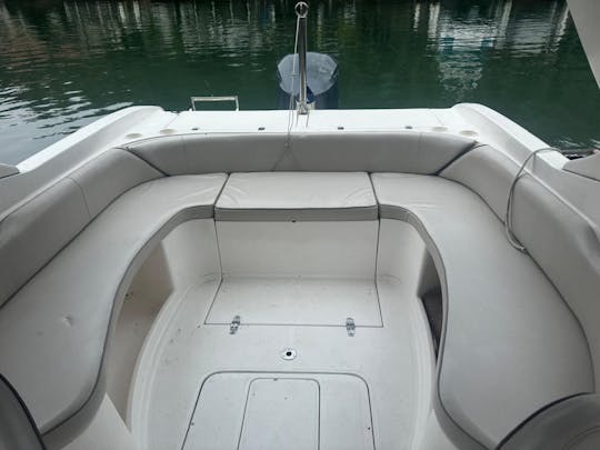 Speedboat in Portobello for 16 people