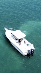 Boston Whaler 24’ Visit Icacos,Palomino,Isla Piñero (6 guest max)