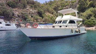 49ft Motor Yacht 10 Pax Daily Capacity