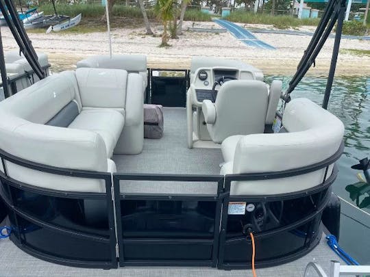 20' 100% Electric Pontoon Boat for 10 people