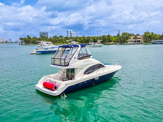 New 48ft SeaRay Motor Yacht in Miami Beach!