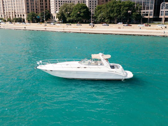 Enjoy Chicago in this 46' Sea Ray - Great for Birthdays - Bachelorette Parties