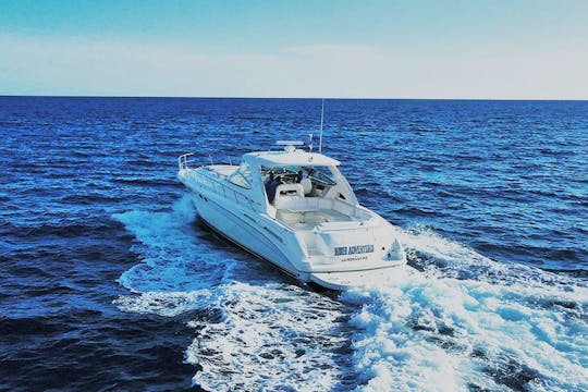 Sea Ray 54 High Adventure Motor Yacht from Casa de Campo 