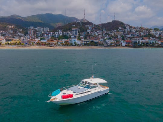 OLYMPUS | UN YACHT SEA RAY DE 46 PIEDS POUR PASSER UN ÉTÉ PARFAIT EN PV