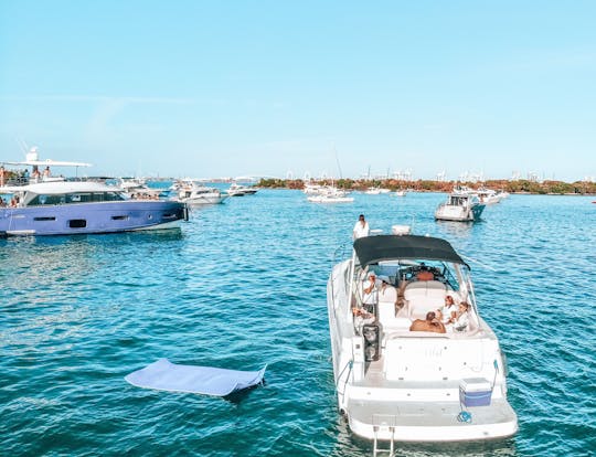  42' FOUR WINNS🛥 Amazing Charter in Miami, Florida!