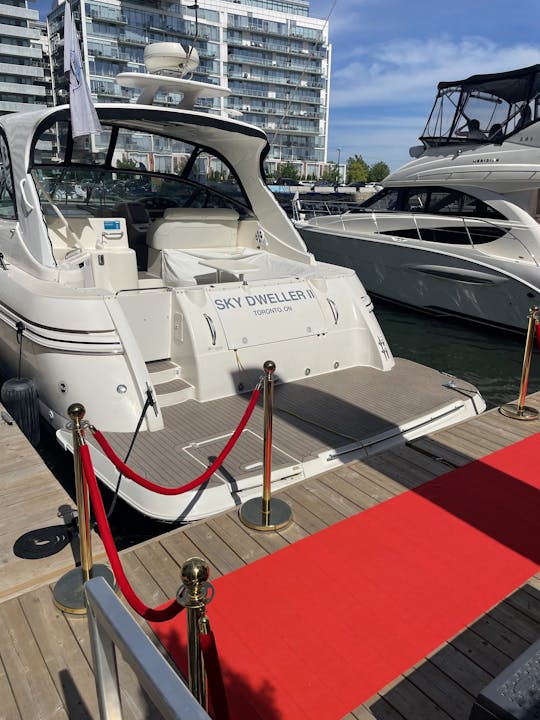 **VIP** Ultra Party Yacht à décorer