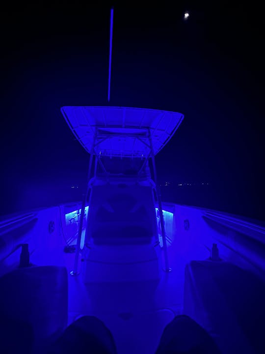 Sunset Boat Experience with Charcuterie and Drinks