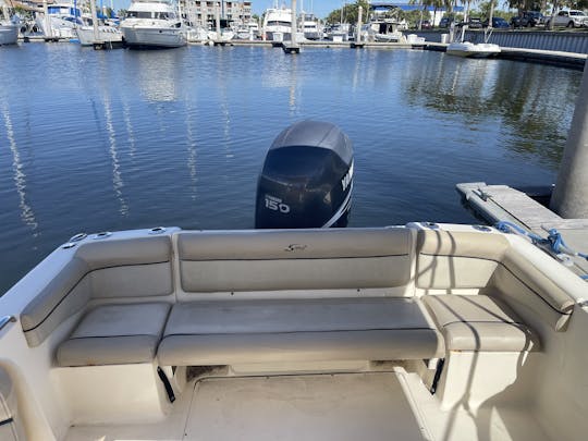 Dorado Scout Bowrider Boat in Tampa Bay (Ruskin)