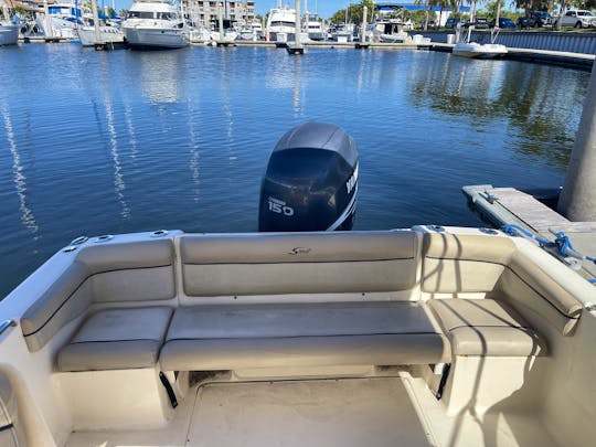 Dorado Scout Bowrider Boat in Tampa Bay (Ruskin)