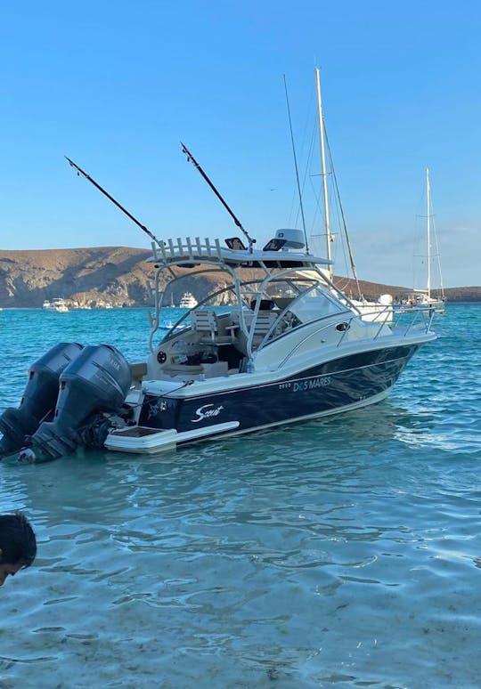 Expérience exclusive avec notre Scout 280 Sportfish à La Paz, en Colombie-Britannique