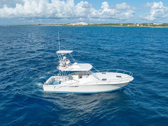 Barco espaçoso Luhrs de 38 pés, ótimo para pesca e mergulho com snorkel