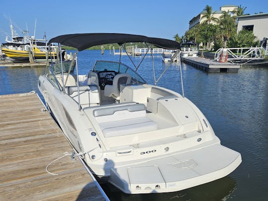 Disfruta de este yate Sea Ray Sundeck de 30 pies en Tampa