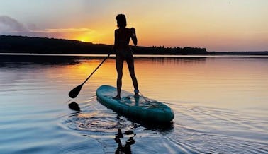 EXPERIENCE THE WATERS ON A PADDLEBOARD: The Best Workout Ever in Mission Viejo! 
