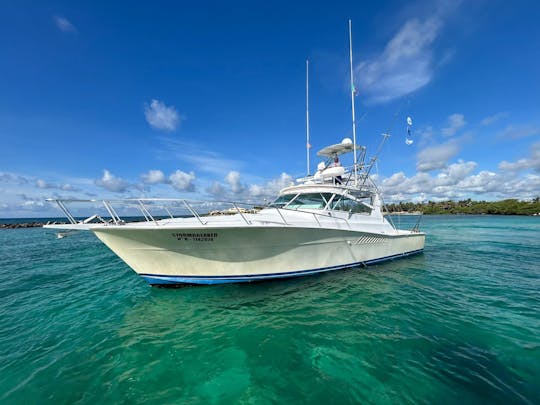 Barco Viking de 43 pés - Barco elegante e poderoso, incrível para pesca e mergulho com snorkel