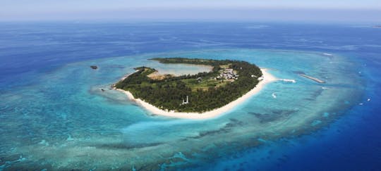 Practica snorkel y troll en el paraíso: chárter privado a Minnajima