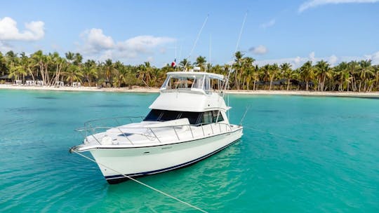 Saona Island: Private Yacht Tour with Snorkel+Booze in DR