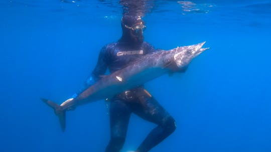 Flamingo Bay : Charte de pêche sous-marine sur les récifs
