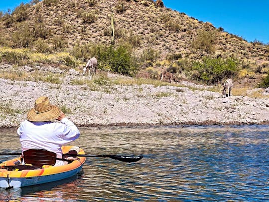 Private Boat Rental with Captain & Host on Lake Pleasant, AZ 