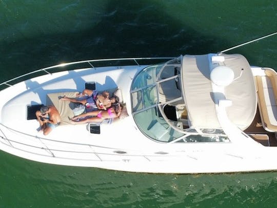 Fretamento de iates Sea Ray de 34 pés em Miami *** DE SEGUNDA A QUINTA 1 hora grátis após 3 horas de reserva