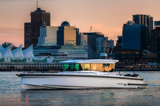 38' Mini-Yacht!! - Large "Ultra Luxury" Adventure & Activity Vessel 🏖