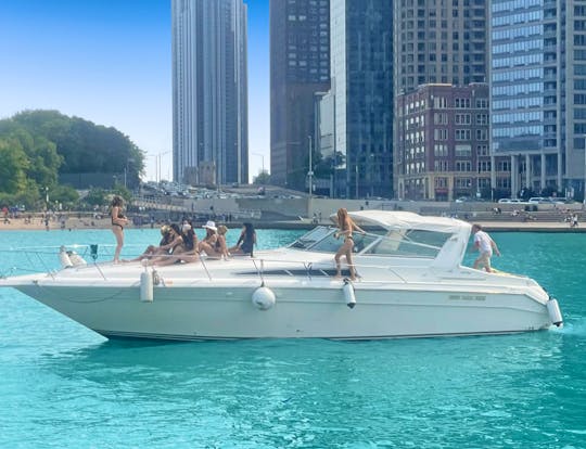 Diversey Harbor 46 ft Luxury Yacht Perfect Play Pen Boat
