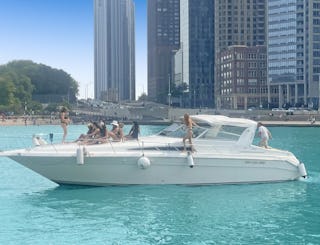 Diversey Harbor 46 ft Luxury Yacht Perfect Play Pen Boat