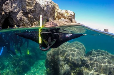 L'ESTARTIT: SNORKEL ECOLÓGICO NAS ILHAS MEDES