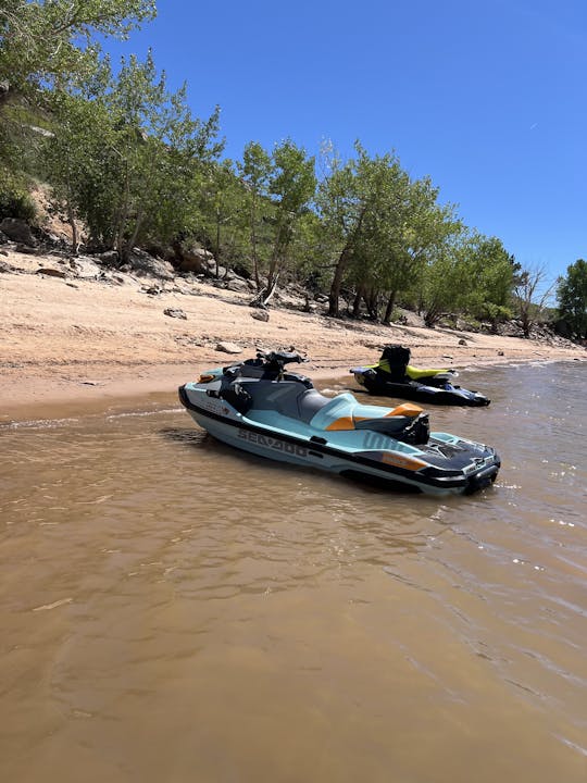 2024 Sea-Doo Wake Pro 230