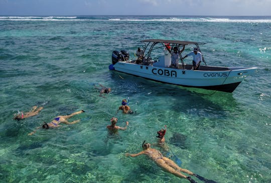 Mexico Rocks Diverse Ecosystem in San Pedro