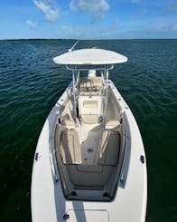 Alquiler de 2022 Sea Chaser 22 HFC en Tavernier, Florida