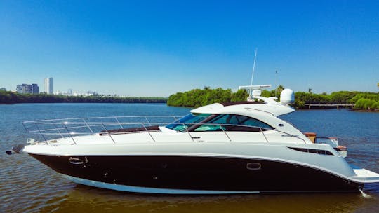 Iate de luxo Sea Ray de 44 pés para explorar as praias de Mazatlan!