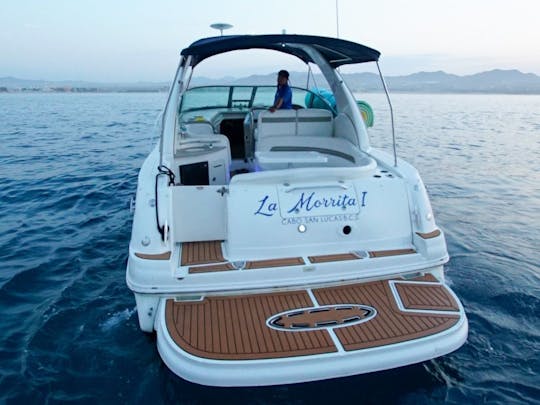 Cabo's Finest Charter: Unforgettable 35ft Sea Ray Experience