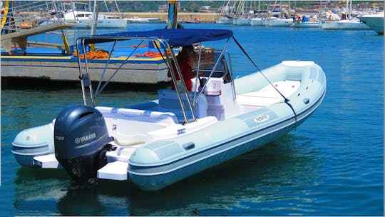 Rigid Inflatable Boat Predator 7.3m 24ft for rent in Forio, Ischia