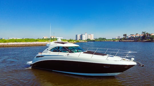 Yacht de luxe Sea Ray de 44 pieds pour explorer les plages de Mazatlan !