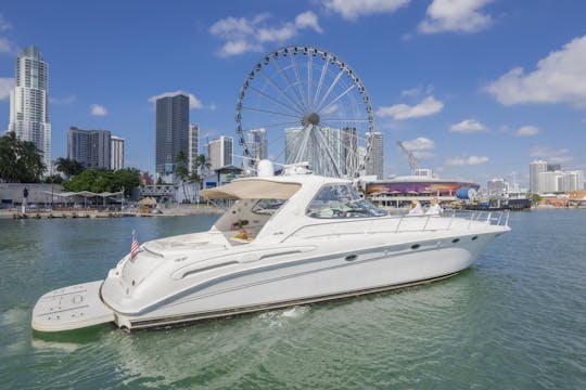 Visitando Miami? Junte-se a nós para uma experiência inesquecível a bordo de um Sea Ray de 65 pés!