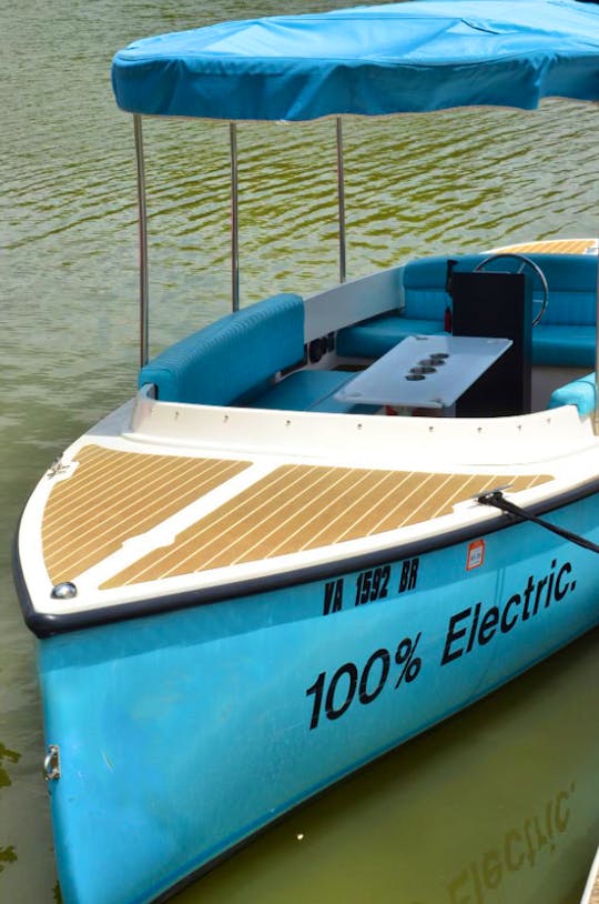 Blue Vision Marine Fantail 100% Electric Boat in Norfolk Virginia