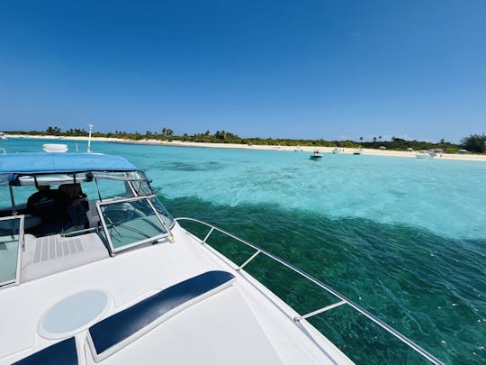 Charter privado VIP de 6 horas de día completo a Icacos, Lobos o Palomino