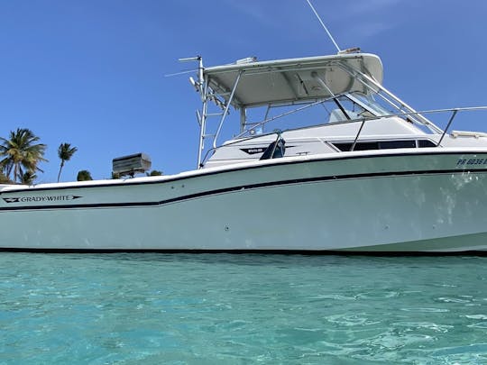 30ft Grady White Boat Trips/Charters in Fajardo