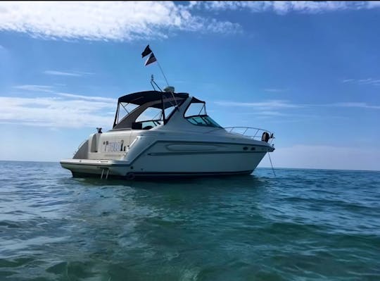 40ft Luxury Express Cruiser - MAY DISCOUNTS $200/HOUR