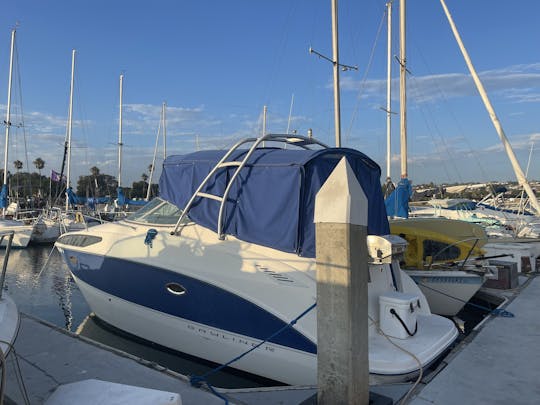 Bayliner in San Diego 6 person party Mini Yacht