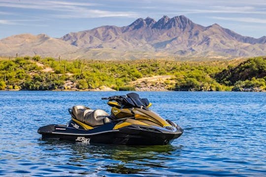 2022 Kawasaki 310 Jet Ski for rent 