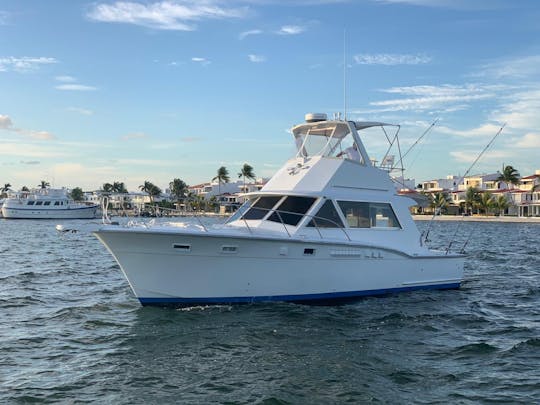 Crewed Charter on  34' Chris Craft Crowne Yacht in Riviera Maya