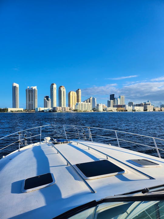 Enjoy this amazing Sea Ray Yacht 40Ft. Miami Beach