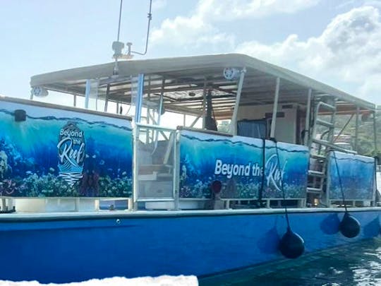 Dive Tours and Snorkeling With The Turtles